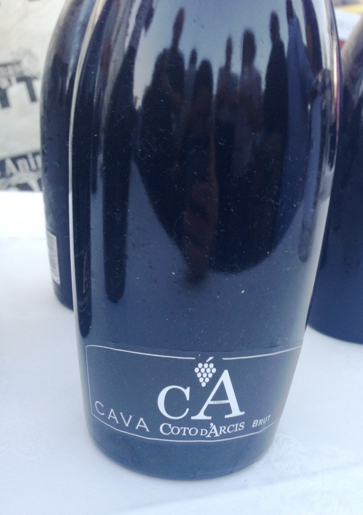 FASCV_Burbujas_Valencia_Coto_d_Arcis